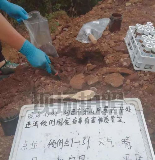 山羊拱土后離奇死亡 土壤背后的生命代價(jià)與污染防治警示